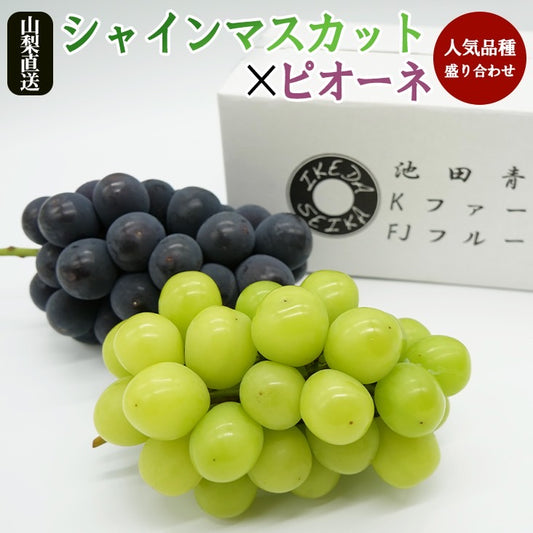 高級(秀品)シャインマスカット・ピオーネ 2房