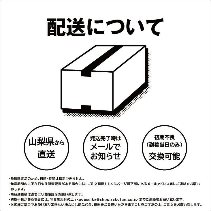 【産地直送】シャインマスカット 山梨 甲州 勝沼 1kg前後