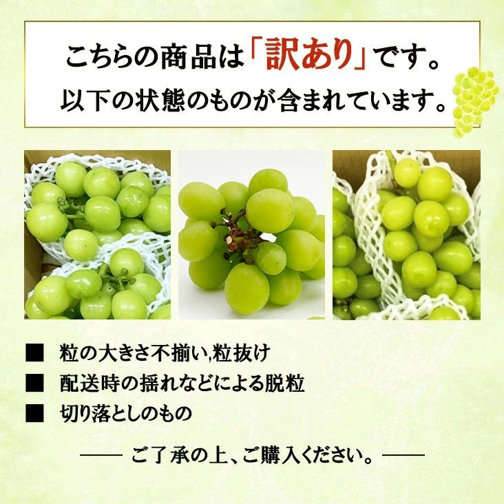 【産地直送】シャインマスカット 山梨 甲州 勝沼 1kg前後