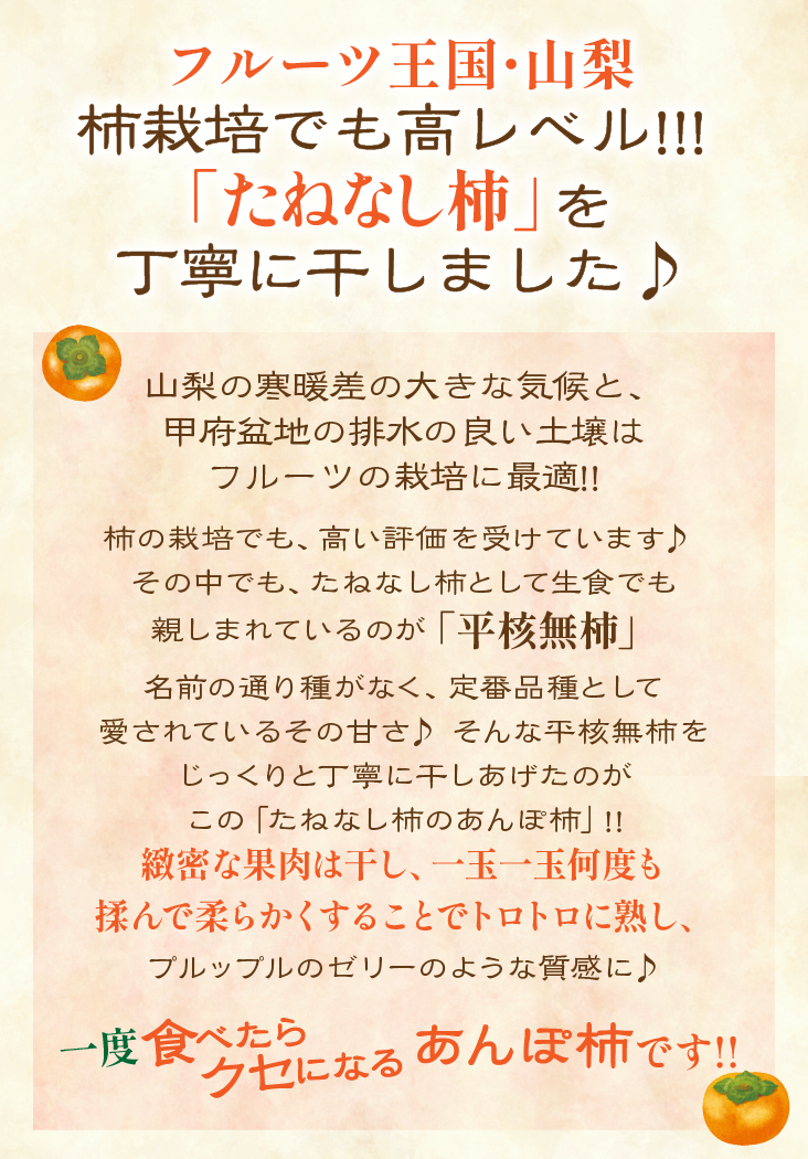 あんぽ柿　６パック（１８個入）