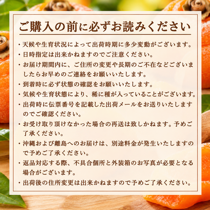 あんぽ柿　６パック（１８個入）