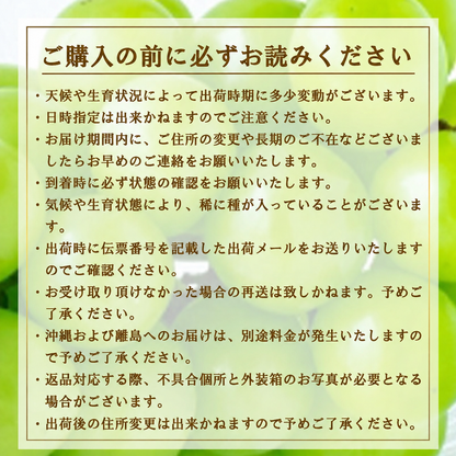 高級(秀品)シャインマスカット　２房１キロ前後
