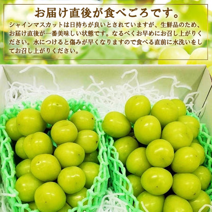 【産地直送】高級シャインマスカット 2房