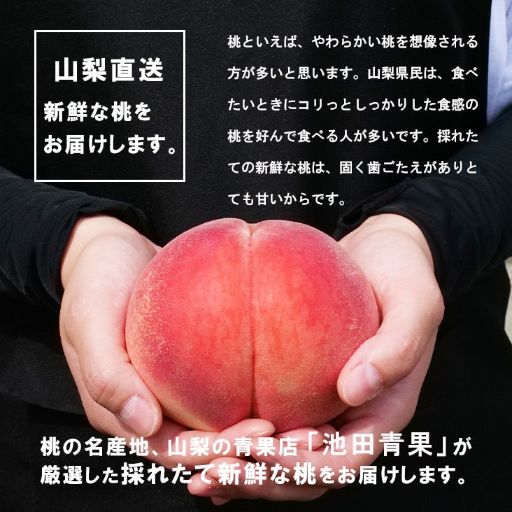 大玉 厳選(秀品)桃 2kg – 池田青果 公式オンラインストア