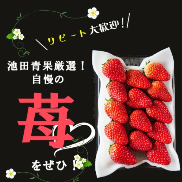 静岡産　朝採れいちご　1.1kg