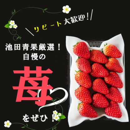 静岡産　朝採れいちご　1.1kg
