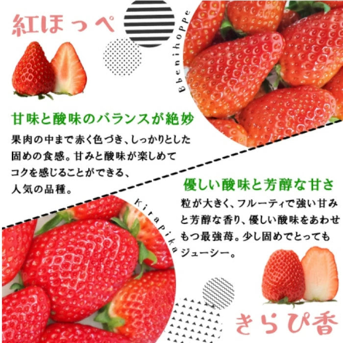 静岡産　朝採れいちご　1.1kg