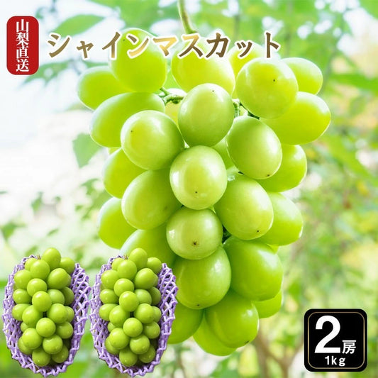 高級(秀品)シャインマスカット 2房