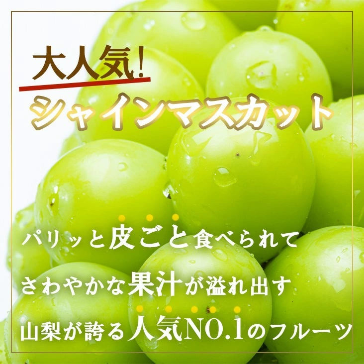 訳ありシャインマスカット　２房～3房