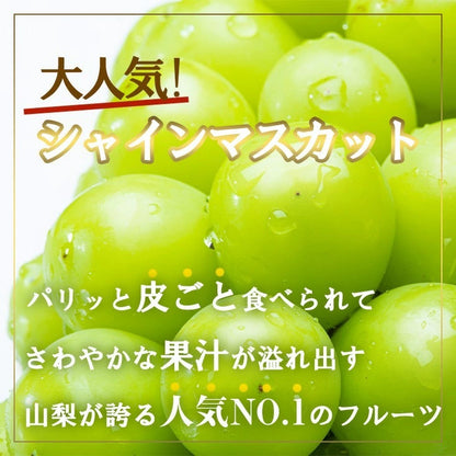 訳ありシャインマスカット　２房～3房