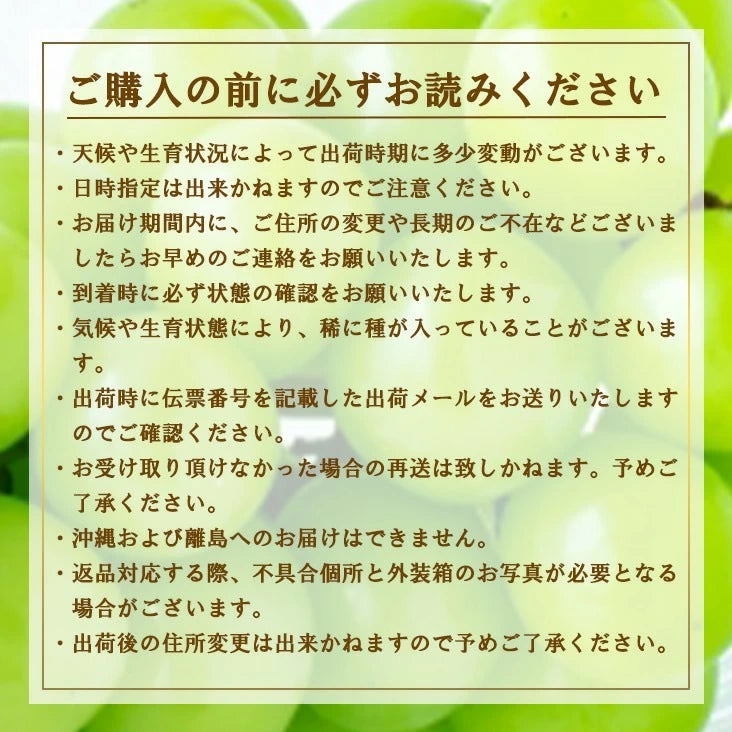 訳ありシャインマスカット　２房～3房