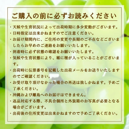 訳ありシャインマスカット　２房～3房