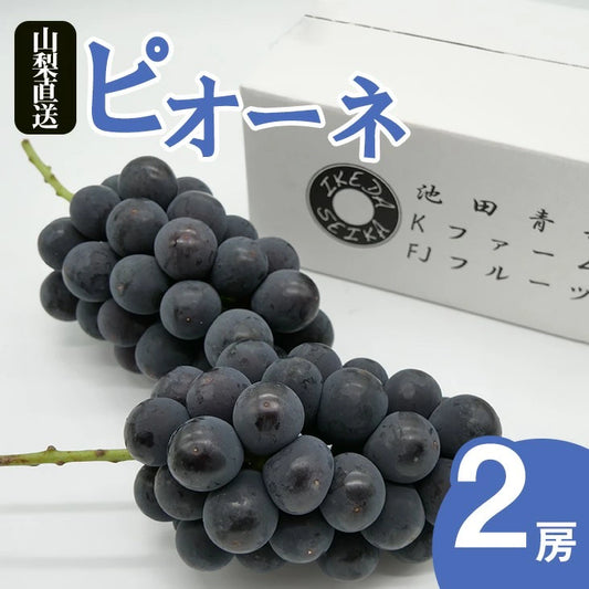 高級(秀品)ピオーネ　２房