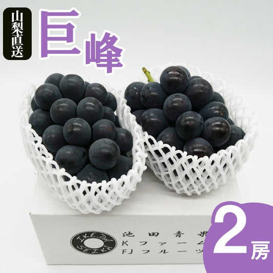 高級(秀品)巨峰　２房